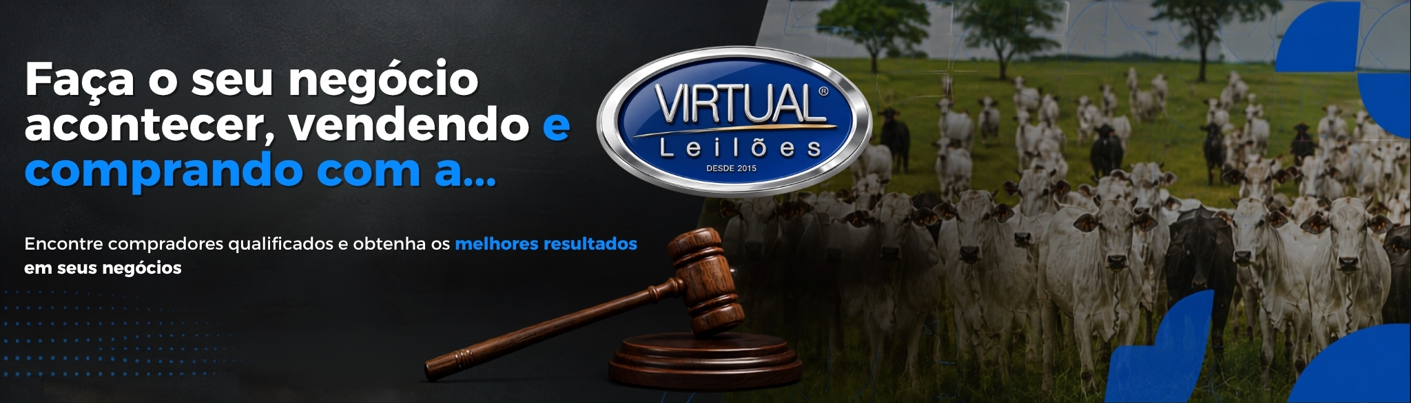 Venda e compre com a Virtual Leilões